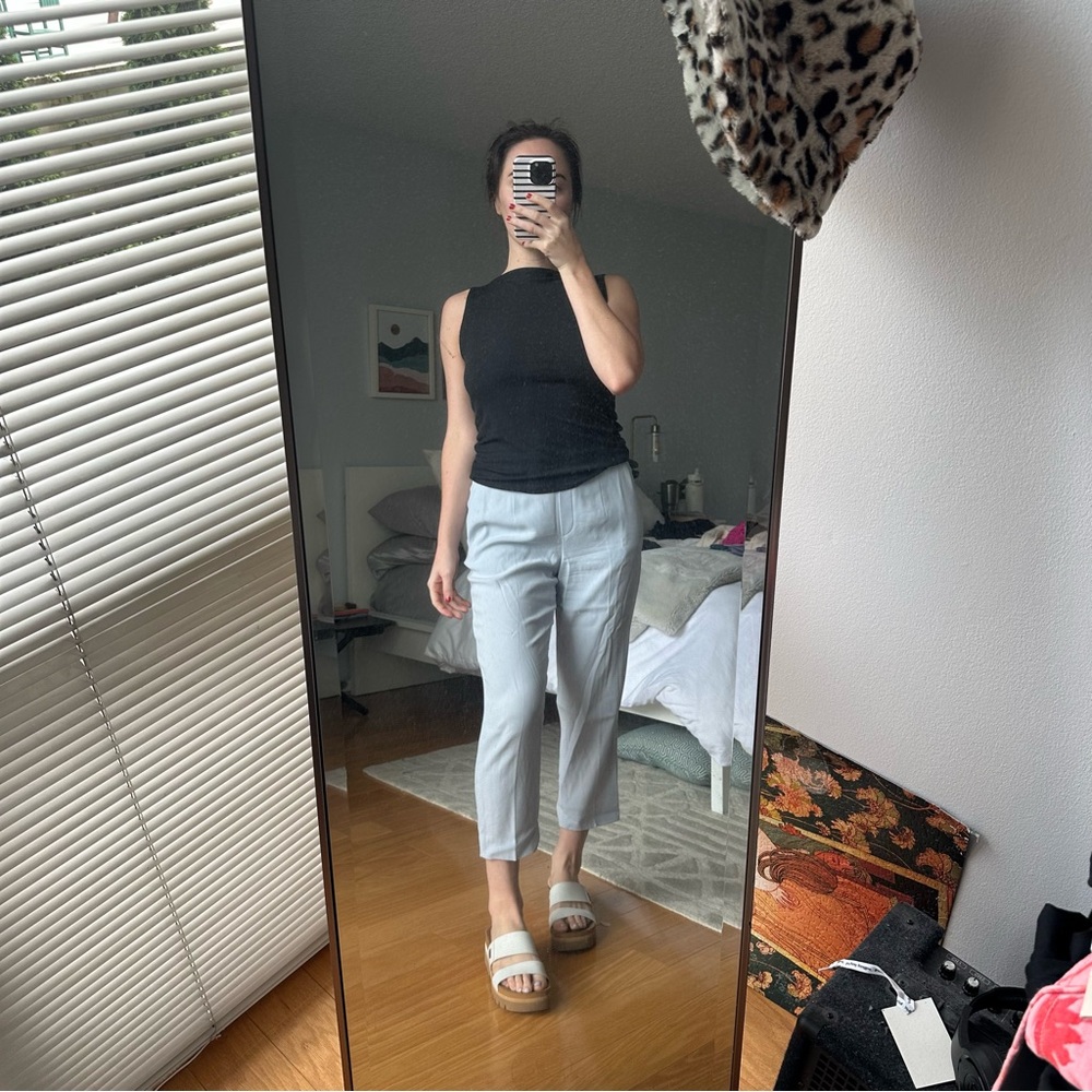 Aritzia Babaton Conan Cropped Pants
